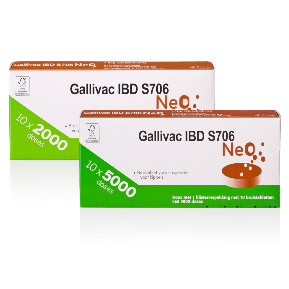 Gallivac® IBD S706 NeO  